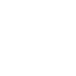 Paragon Protection Logo