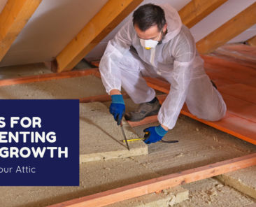 Tips for Preventing Mold Growth in Your Attic