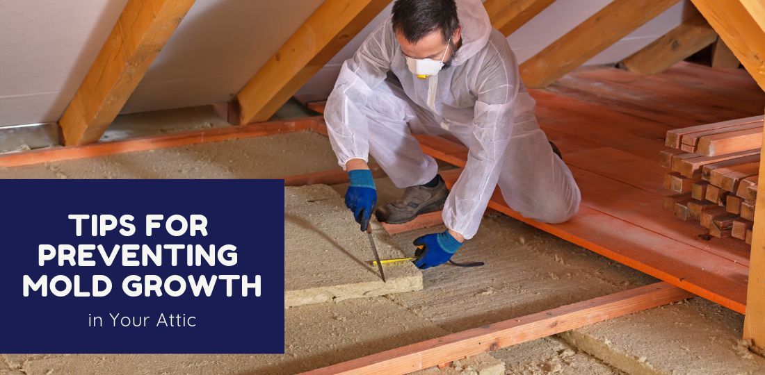 Tips for Preventing Mold Growth in Your Attic