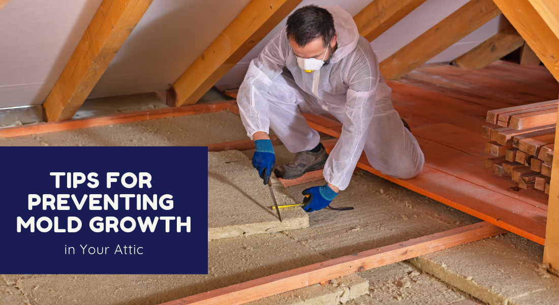 Tips for Preventing Mold Growth in Your Attic