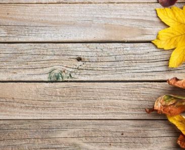 A Guide to Fall Home Maintenance