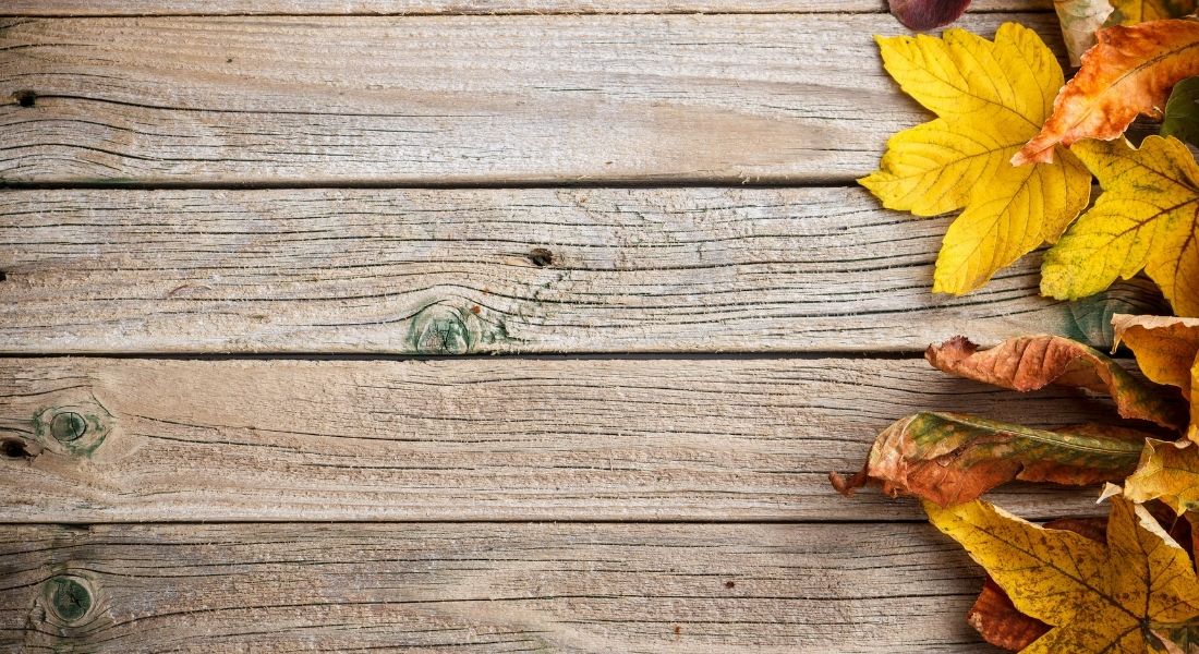 A Guide to Fall Home Maintenance