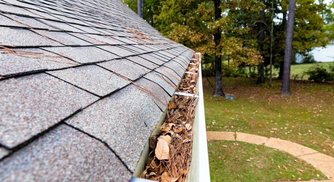 The Most Common Causes of Roof Leaks