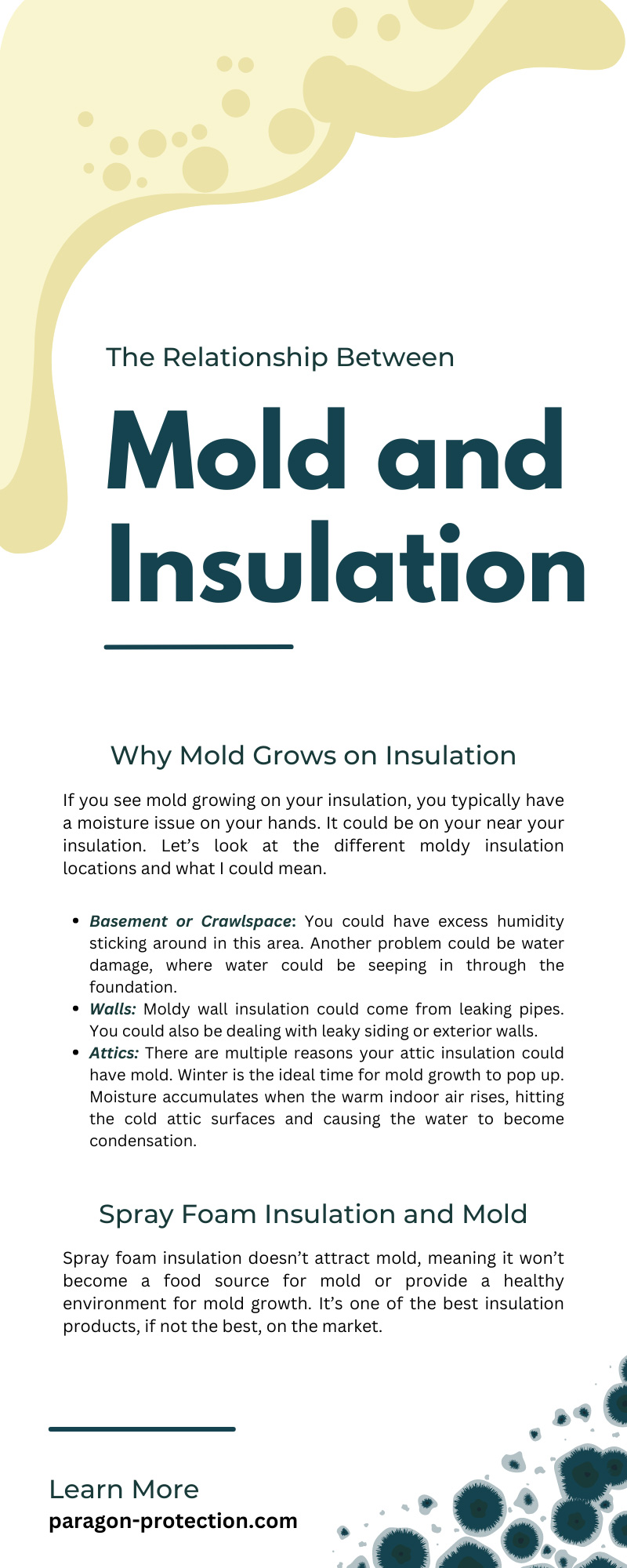 The Relationship Between Mold and Insulation