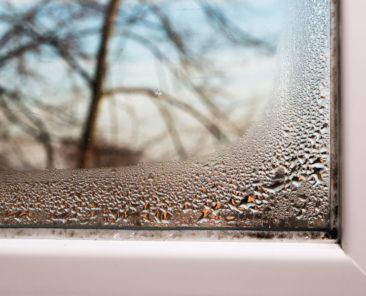 Illinois Humidity vs. Insulation: How Each Type Holds Up