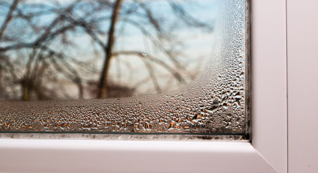 Illinois Humidity vs. Insulation: How Each Type Holds Up