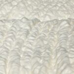 Why Insulation Helps Prevent Mold Growth