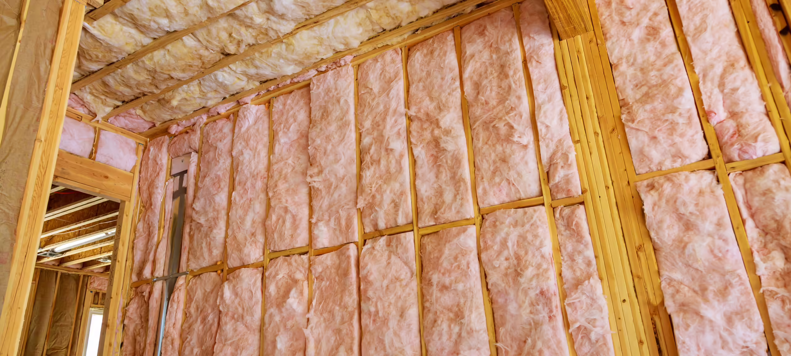Insulation Removal Service